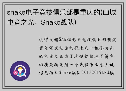 snake电子竞技俱乐部是重庆的(山城电竞之光：Snake战队)